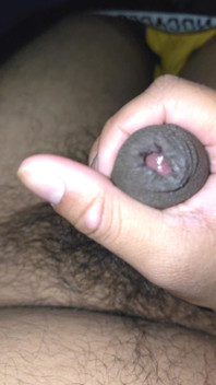 Penis Mare