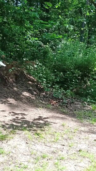 Vecchia puttana autostoppista sexy da strada scopata nella foresta con e poi senza preservativo