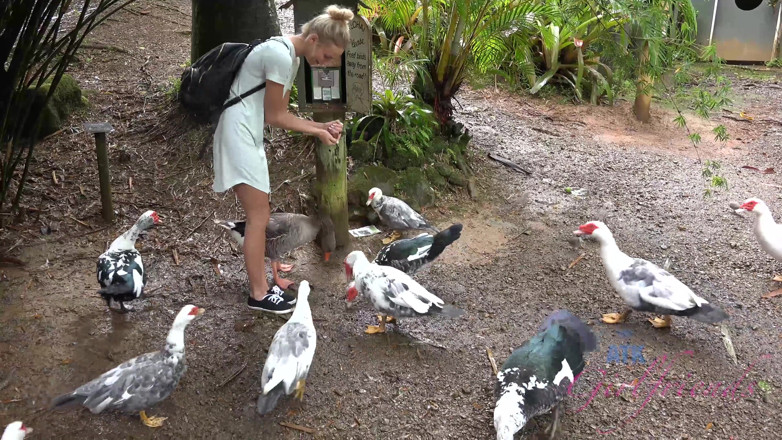 ATK Fans (Girlfriends): Vacanță virtuală în Hawaii cu Emma Hixx 9/16