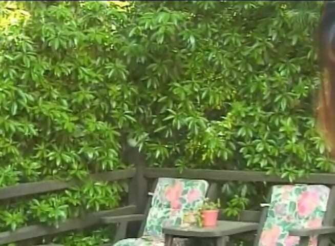 Lesbo Tube: 二つの温泉レズビアン舐めている猫外