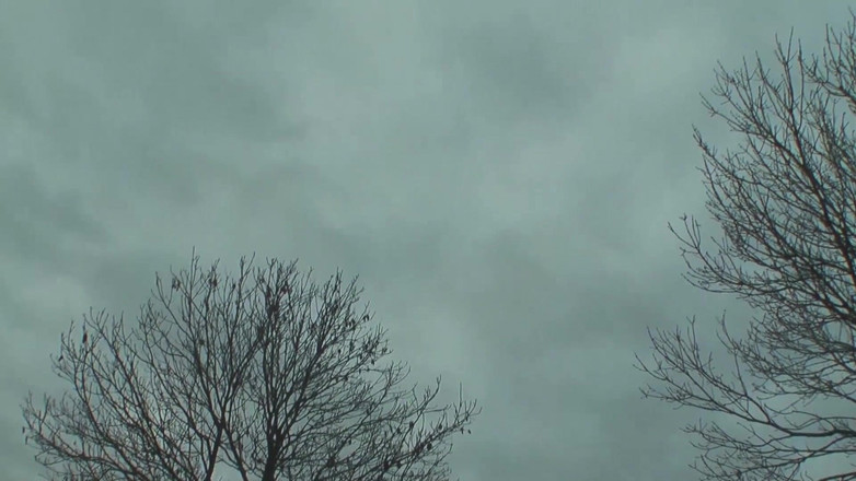 German Porn: German - Big busty girl outdoor