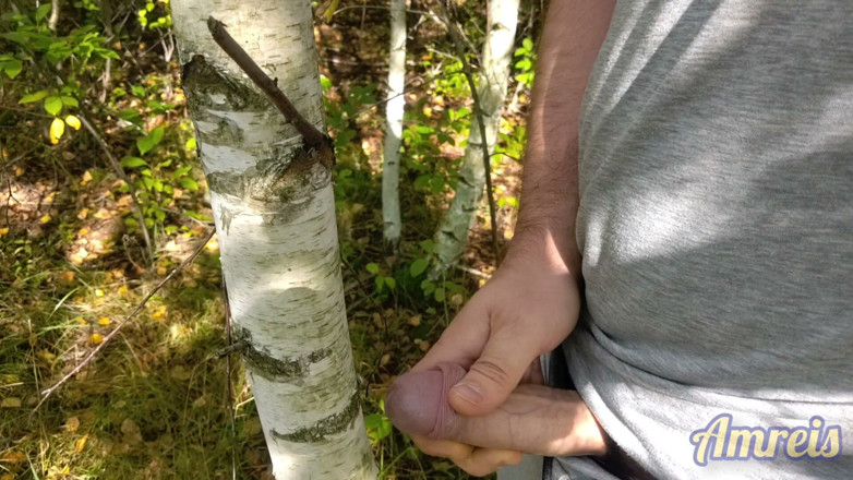 Amreis: Jerking off in the Woods Near the Highway. I Almost...