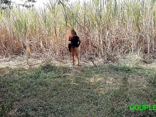 Couple gold xx: Komal собиралась поджечь сахарную тростнику своего поля, оставляя после себя свою собственную мочу