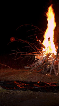 Halloween yang bergoyang-gatal