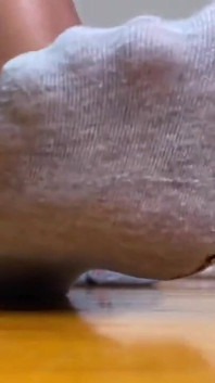 Meias Cinzas Despidas Lentamente