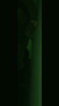 Night Vision: Balls Deep Anal Fuck with Bwc Dildo