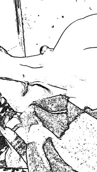 Sesso locale fatto in casa