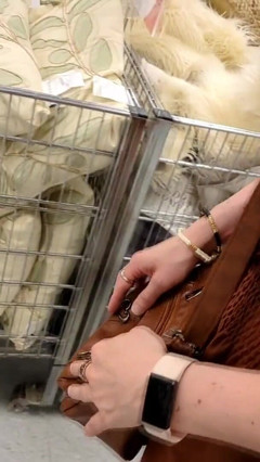 Remote Vibro for Cock and Ass! Tranny with Erect Dick in Public! thumbnail