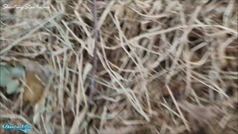 Shooting Star: 陌生人中出公共危险性爱
