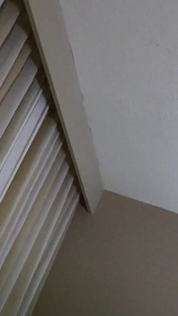 Video bom berperingkat X