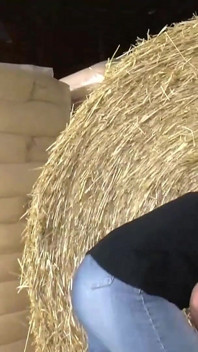 Loira milf fodendo na fazenda
