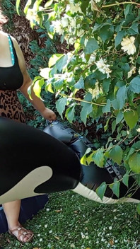 Outdoor with My Dolphin