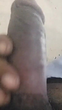 Tua adalah kontol emas yang sangat indah