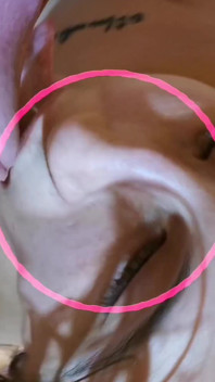 Pijpen