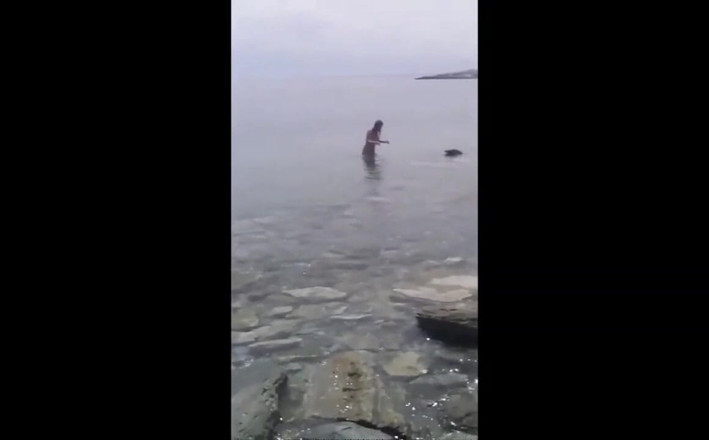 SexJustice: Nude at Beach and Blowjob at 26 April 2015 and 1 May 2015