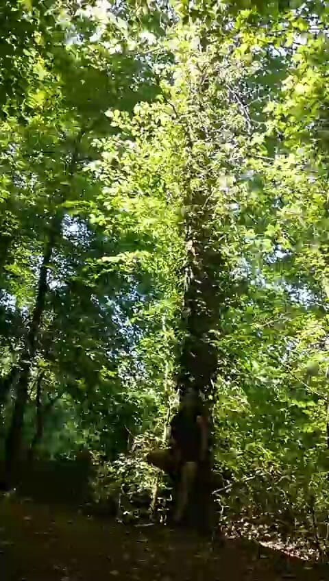 Babe2race: Masturbare în pădure în pauza de prânz