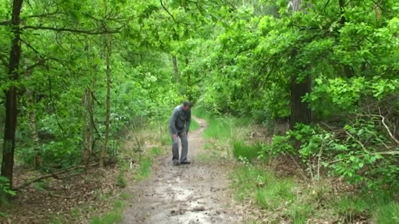 Public Entertainment: Baculatá a nadržená brunetka chodila ke svému mazlíčkovi, když potkala...