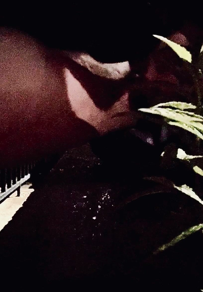 CityFemalePissMarker: Casual Pee чекає моєї доставки їжі