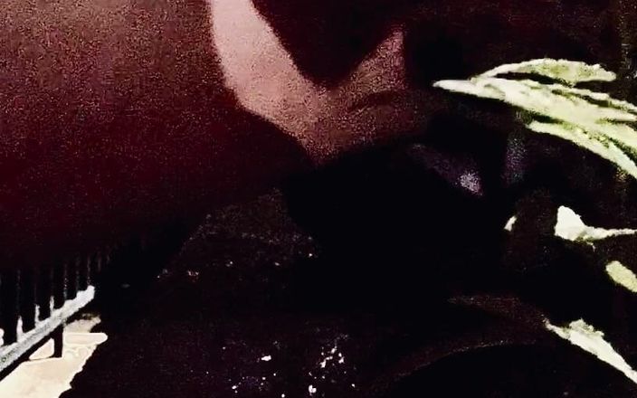 CityFemalePissMarker: Casual Pee Waiting for My Delivery Food