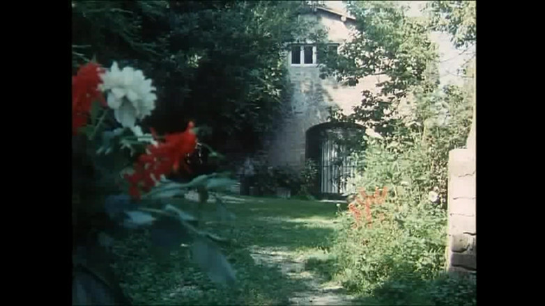 Rocco Siffredi and Friends: Mistři skutečných kohoutů