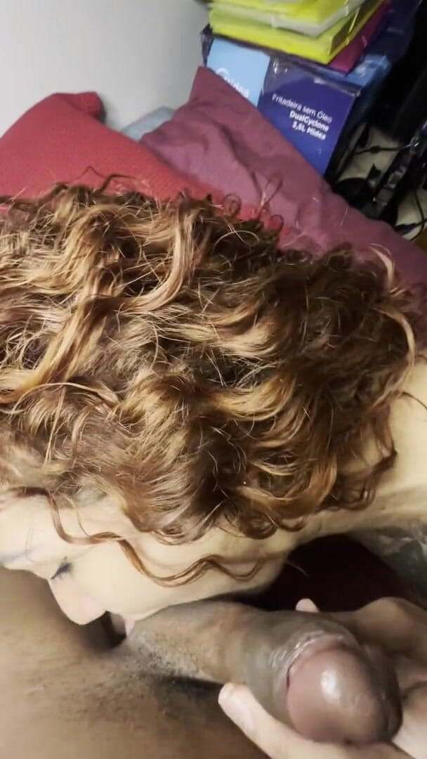 Nathalia Fontes: Me acordou colocando o pau na minha boca