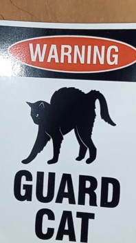 Hairy Pussy