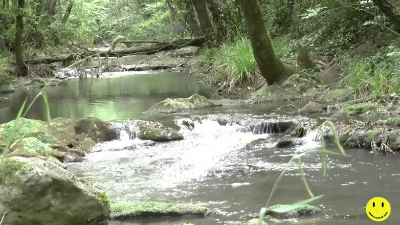 French Amateur Porn: 32 year-old French slut ass fucked by the river