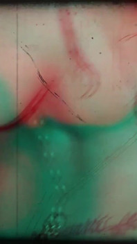 Titty Show