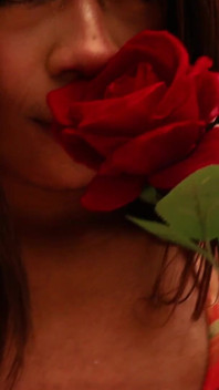Romantic Day