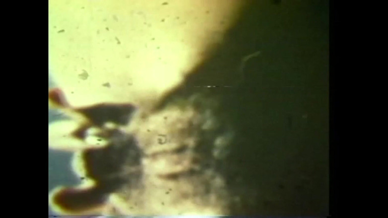 The Unforgettable: Bláznivá masturabada