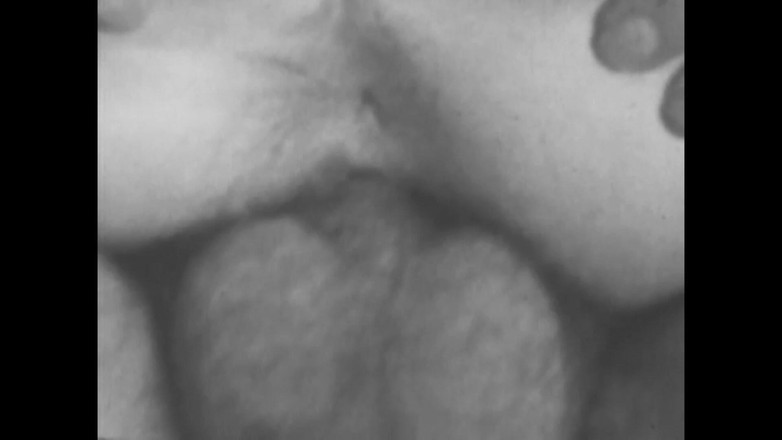 Vintage Usa: Chlupaté kočičky smyslných žen