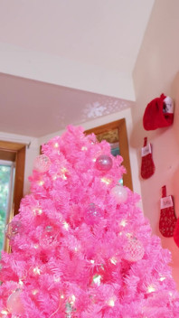 Décoration pour Noël 2023