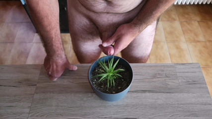 Cicci77: Cicci77 füttert ihre pflanzen mit pinkeln und sperma, um sie üppig...