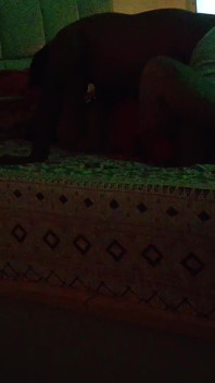 Yenge ile mutlu diwali bölüm 5