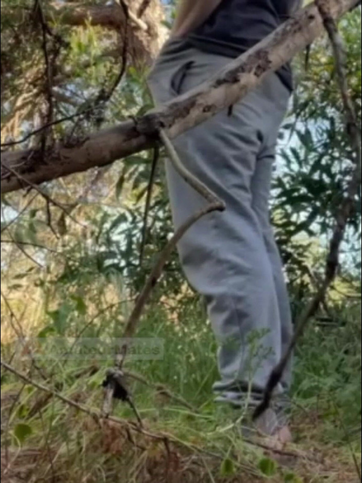 AmateurMates: Un Caldo Ragazzo Amatoriale Succhia E Lecca Il Culo Nei...