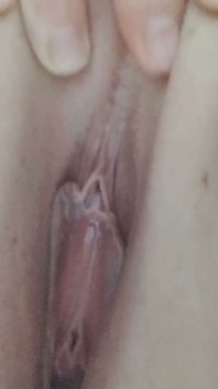 Bbw Domme Venus Aurea vás odmění sezením na tváři, když jste na vodítku
