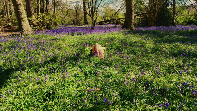 The adventures of Kylie Britain: Queen Kylie of the Bluebells