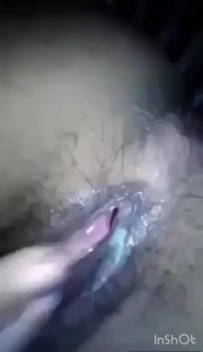 Sluty Piya: Desi dívka tak nadržená pro přítele paroháč v její kundičce,...