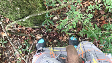 Arthur Eden aka Webcam God: Pov trek alam semula jadi (4K)