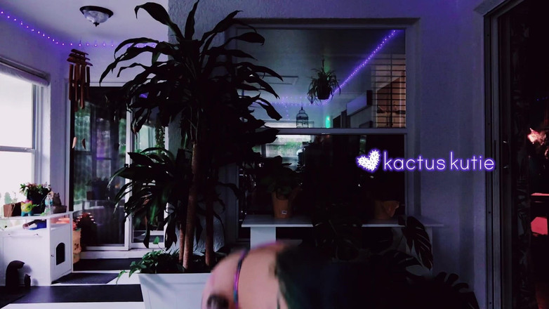 kactus kutie: Mencoba kute klothes saat gelap di luar