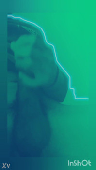 Intro Video