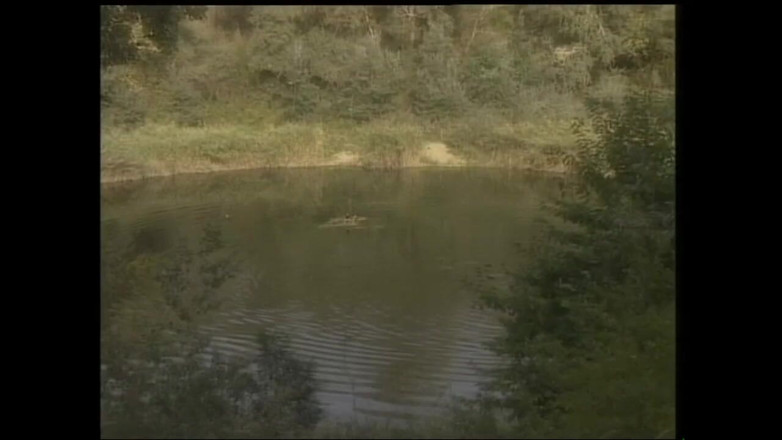 Wonderful Hot World X: Dev memeli orta yaşlı seksi kadının yumuşak klasik pornosu götten...