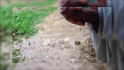 Brijesh 270: सौतेली बहन की स्मृति में बाहर से अलविदा लहराना शुरू किया