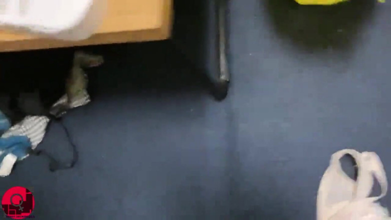 Studio JAV Launcher: Nasty slutty babies 0300 uncensored