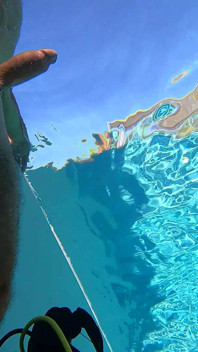 All Natural MILF Julia North Underwater Anal in the Pool