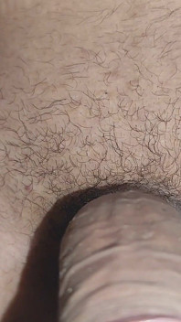 The Male Pheromone of the Glans Attracts Flies.