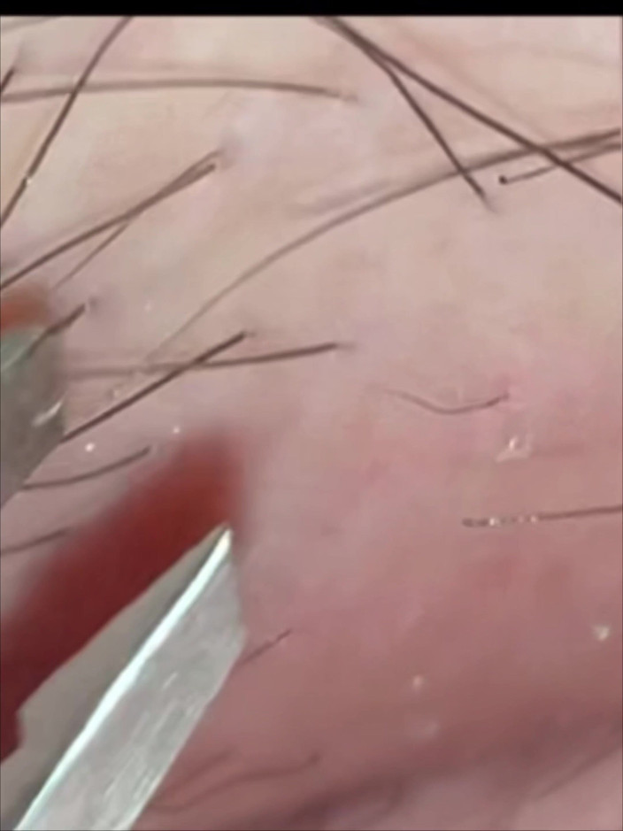 SatisfyingDillyDally: Petunjuk Kelancaran Terperinci