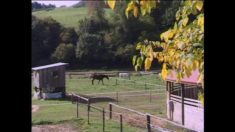 FM Video VOD: セックスの騎士たち - (オリジナルフルムービー 無修正版)