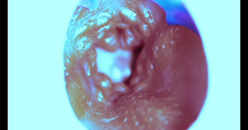 SEXY_GUYBEST: Cum mă fut din interior! Cameră înăuntru!