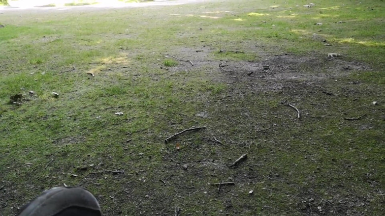 Monster_Meat_: Risky Outdoors play in the parc
